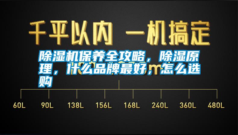 除濕機保養全攻略，除濕原理，什么品牌最好，怎么選購