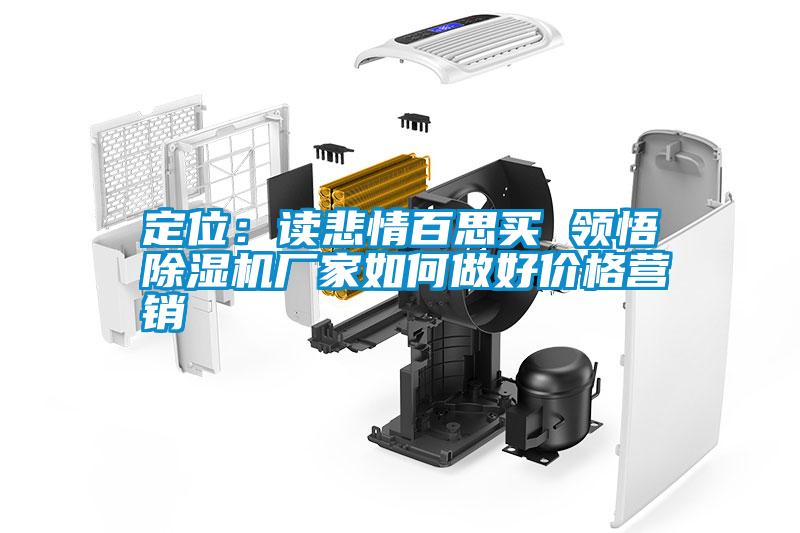 定位：讀悲情百思買 領(lǐng)悟除濕機(jī)廠家如何做好價格營銷