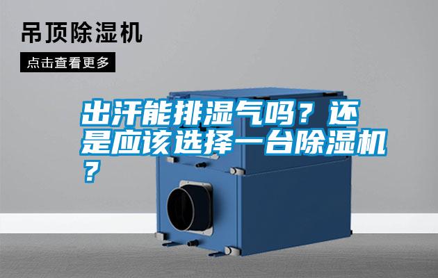 出汗能排濕氣嗎？還是應該選擇一臺除濕機？