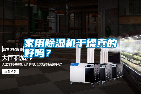 家用除濕機干燥真的好嗎？