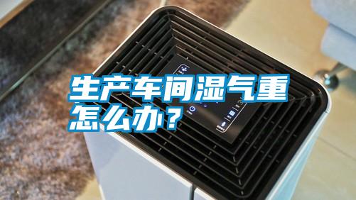生產車間濕氣重怎么辦？