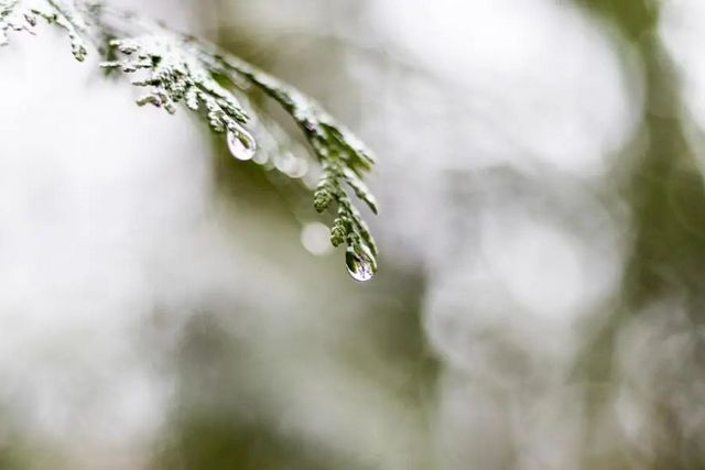空氣濕度大帶來的危害有哪些，你知道嗎？