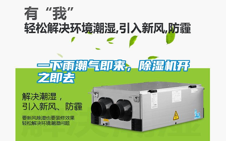 一下雨潮氣即來，除濕機開之即去
