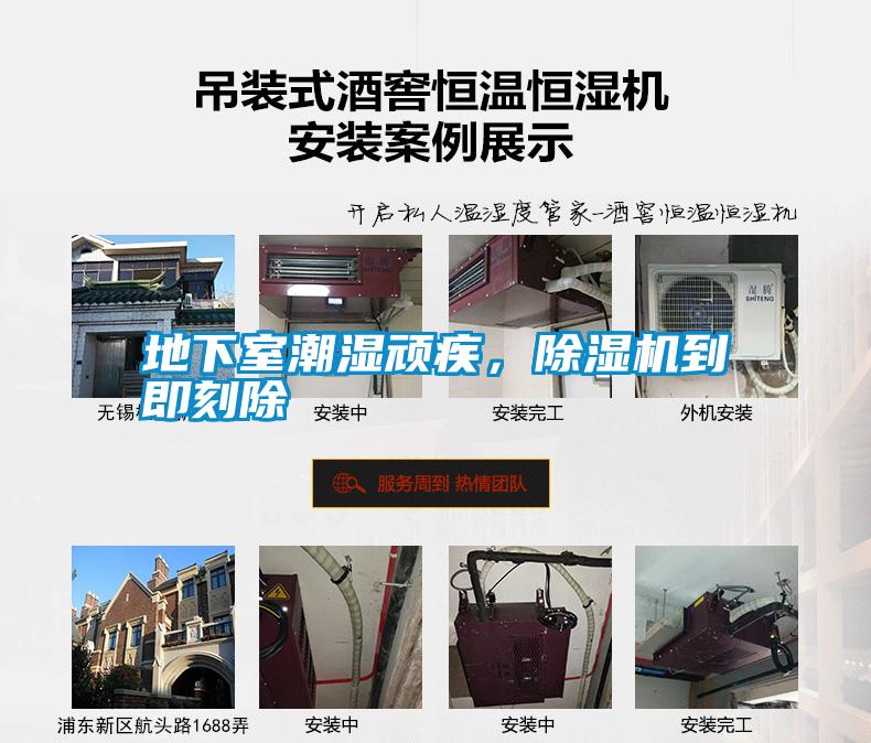 地下室潮濕頑疾，除濕機(jī)到即刻除