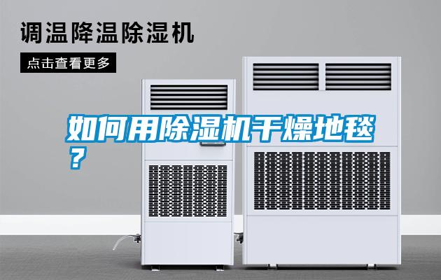 如何用除濕機干燥地毯？