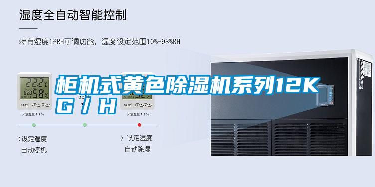 柜機式黃色除濕機系列12KG/H