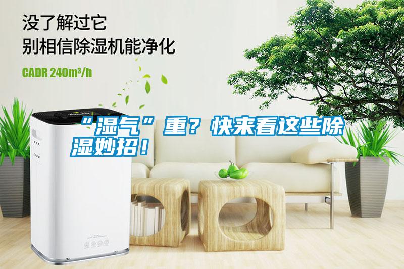 “濕氣”重？快來看這些除濕妙招！