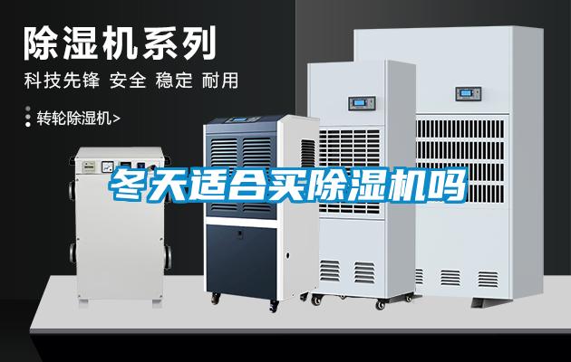 冬天適合買(mǎi)除濕機(jī)嗎
