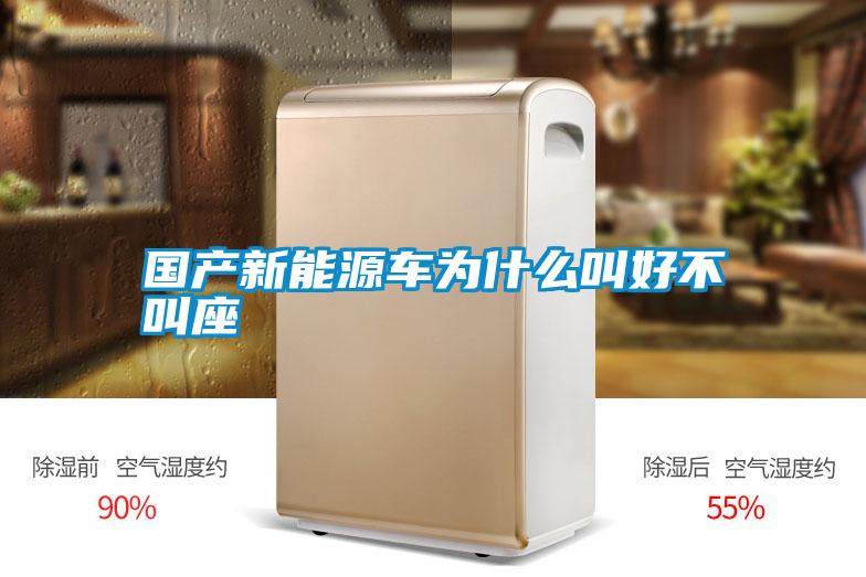 國產新能源車為什么叫好不叫座