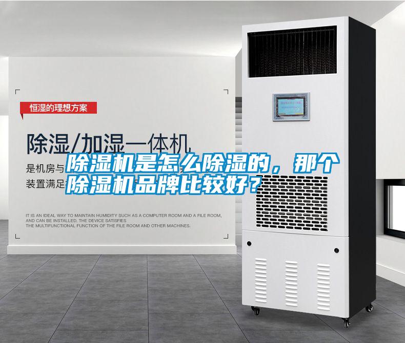 除濕機是怎么除濕的，那個除濕機品牌比較好？