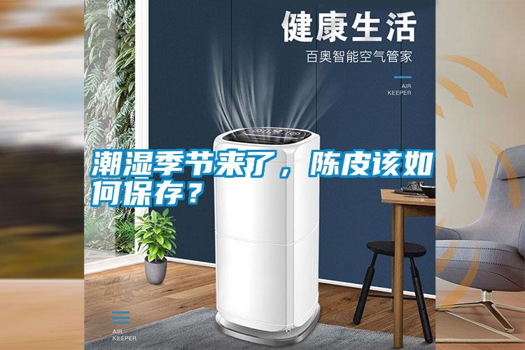 潮濕季節來了，陳皮該如何保存？