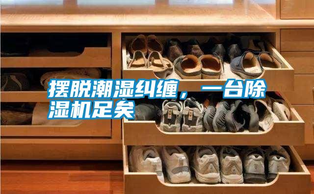 擺脫潮濕糾纏，一臺(tái)除濕機(jī)足矣