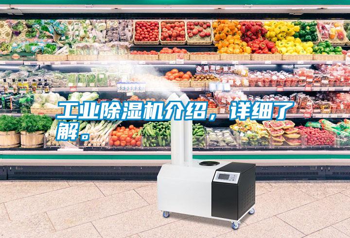 工業除濕機介紹，詳細了解。