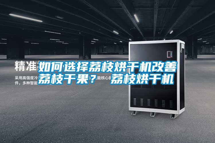 如何選擇荔枝烘干機(jī)改善荔枝干果？ 荔枝烘干機(jī)