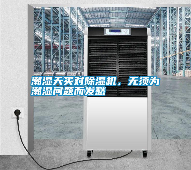潮濕天買對除濕機，無須為潮濕問題而發愁