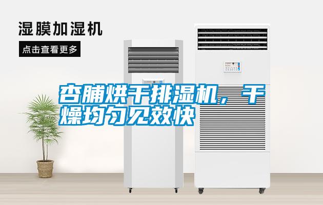 杏脯烘干排濕機(jī)，干燥均勻見效快