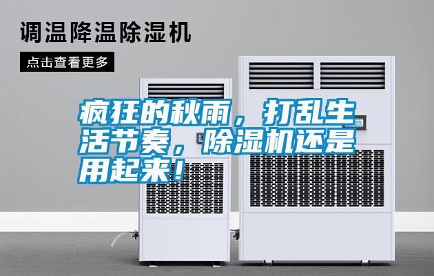 瘋狂的秋雨，打亂生活節奏，除濕機還是用起來！