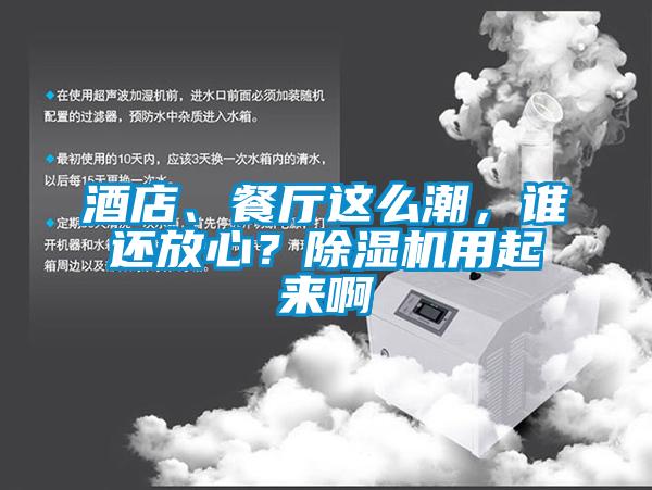 酒店、餐廳這么潮，誰(shuí)還放心？除濕機(jī)用起來(lái)啊