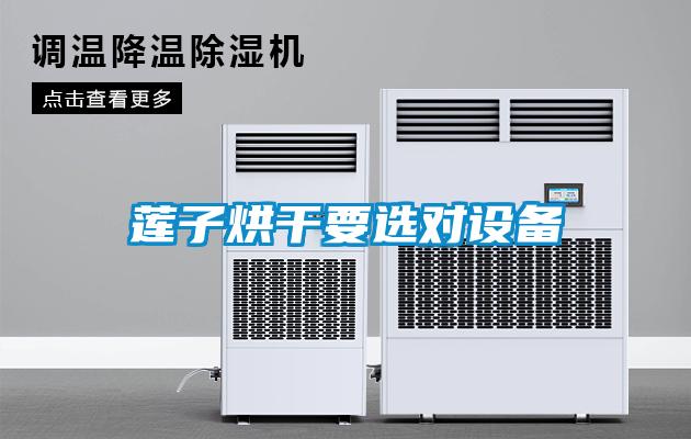蓮子烘干要選對設備