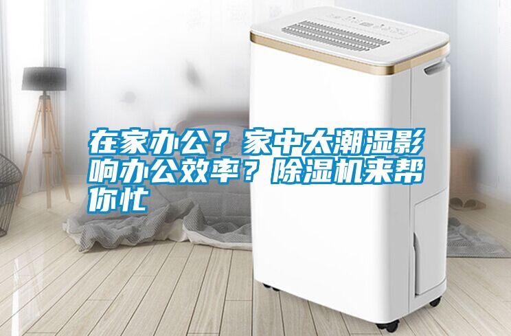 在家辦公？家中太潮濕影響辦公效率？除濕機(jī)來幫你忙