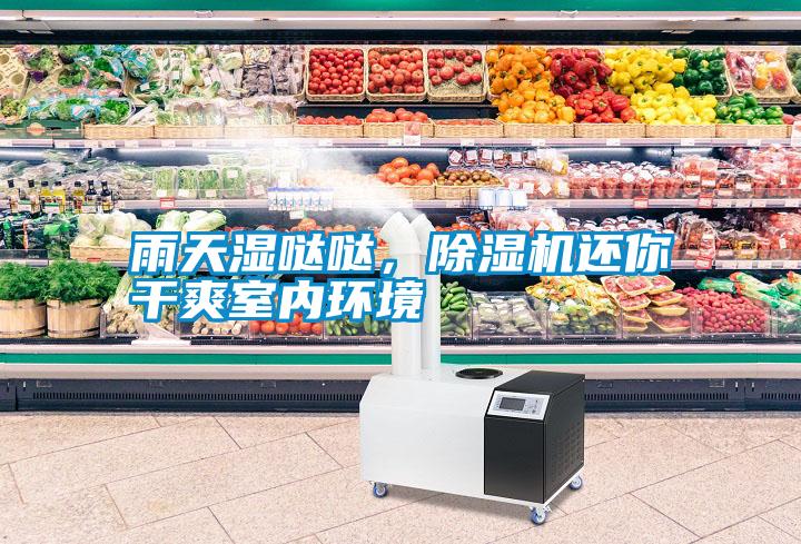 雨天濕噠噠，除濕機(jī)還你干爽室內(nèi)環(huán)境