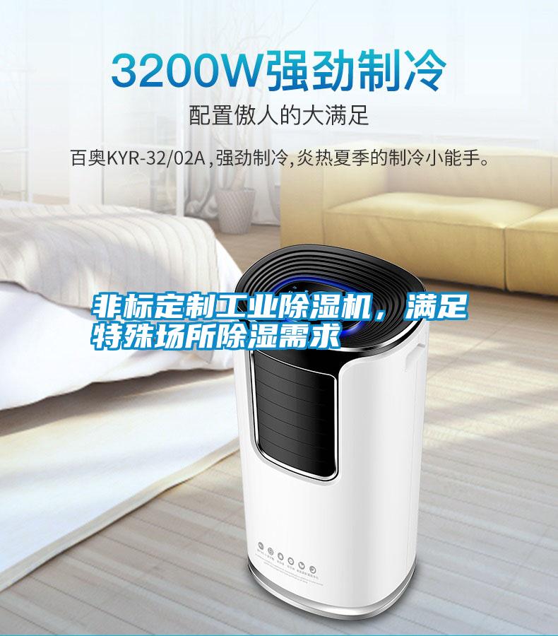 非標定制工業(yè)除濕機，滿足特殊場所除濕需求