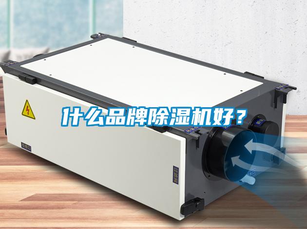 什么品牌除濕機好？