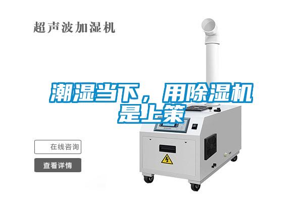 潮濕當(dāng)下，用除濕機是上策