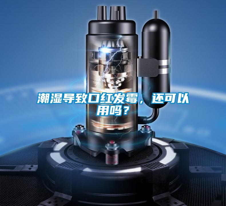 潮濕導致口紅發霉，還可以用嗎？