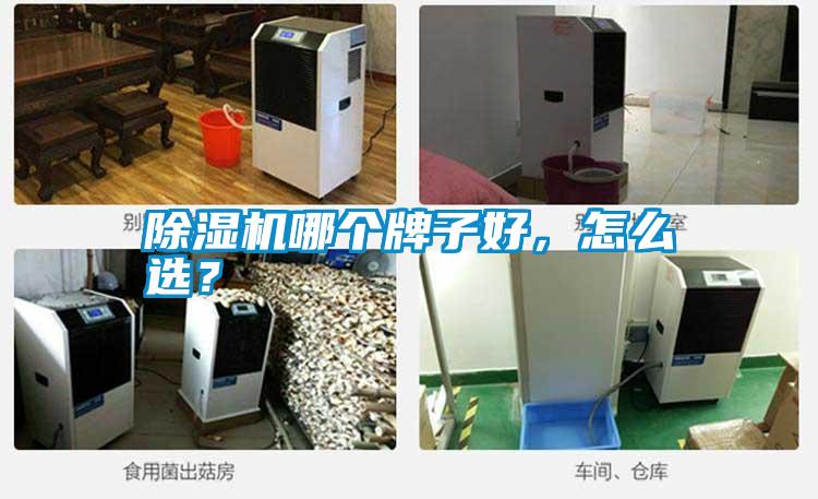 除濕機哪個牌子好，怎么選？