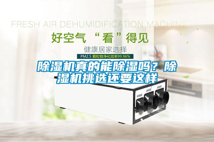 除濕機真的能除濕嗎？除濕機挑選還要這樣