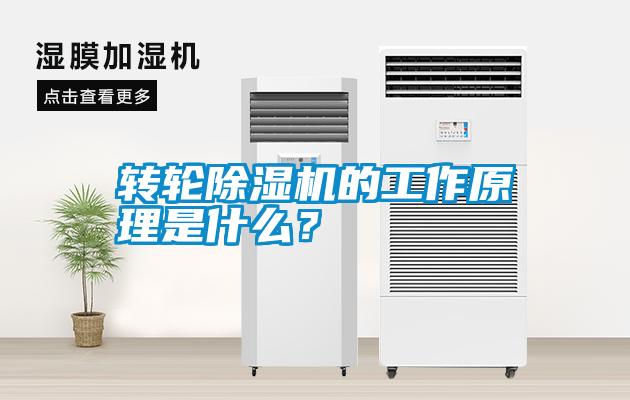轉輪除濕機的工作原理是什么？