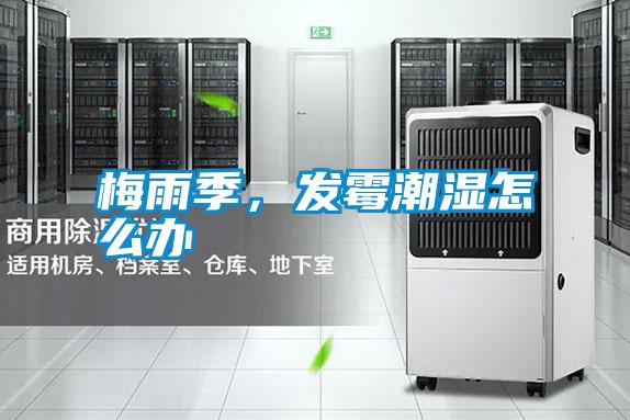 梅雨季，發霉潮濕怎么辦