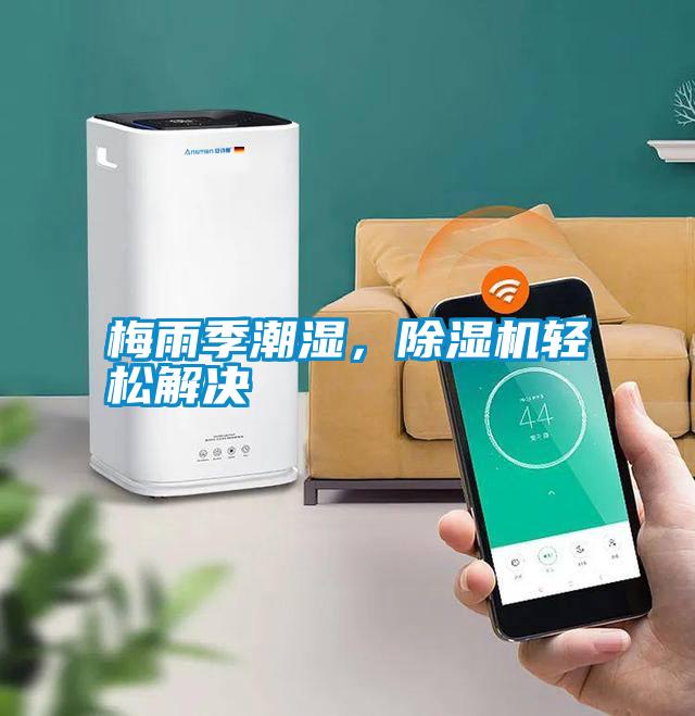 梅雨季潮濕，除濕機輕松解決