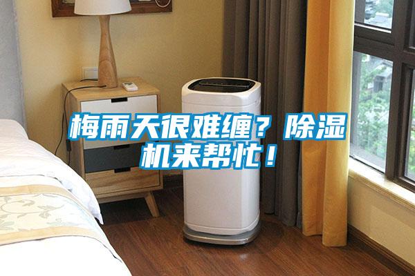 梅雨天很難纏？除濕機(jī)來幫忙！