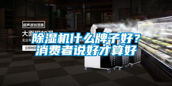 除濕機(jī)什么牌子好?消費(fèi)者說好才算好