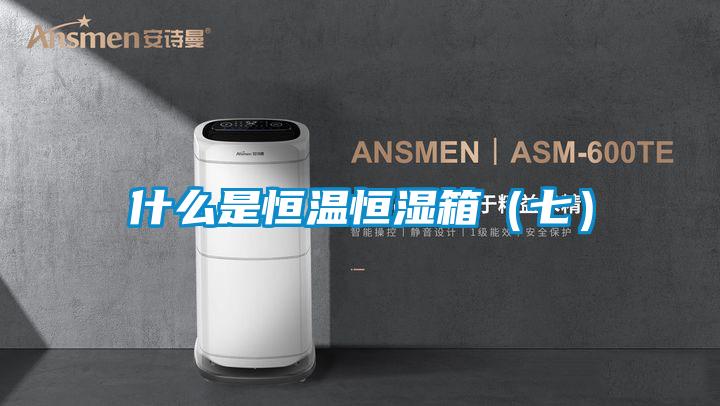 什么是恒溫恒濕箱(七)
