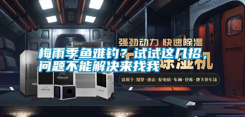 梅雨季魚難釣？試試這幾招，問題不能解決來找我