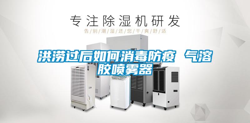 洪澇過(guò)后如何消毒防疫 氣溶膠噴霧器
