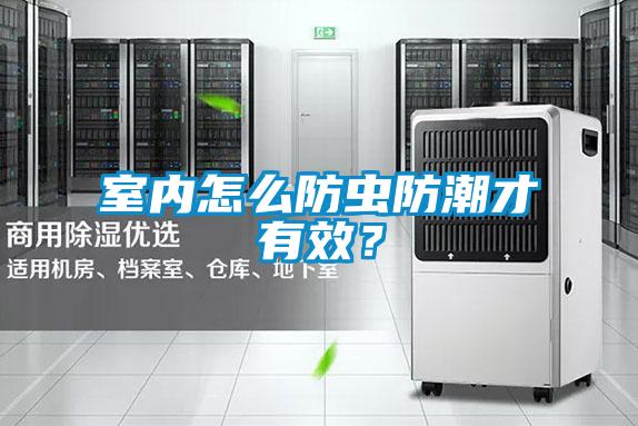 室內怎么防蟲防潮才有效？