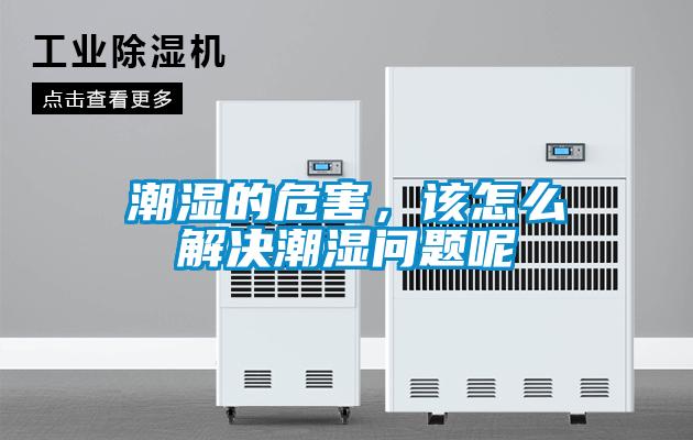 潮濕的危害，該怎么解決潮濕問(wèn)題呢