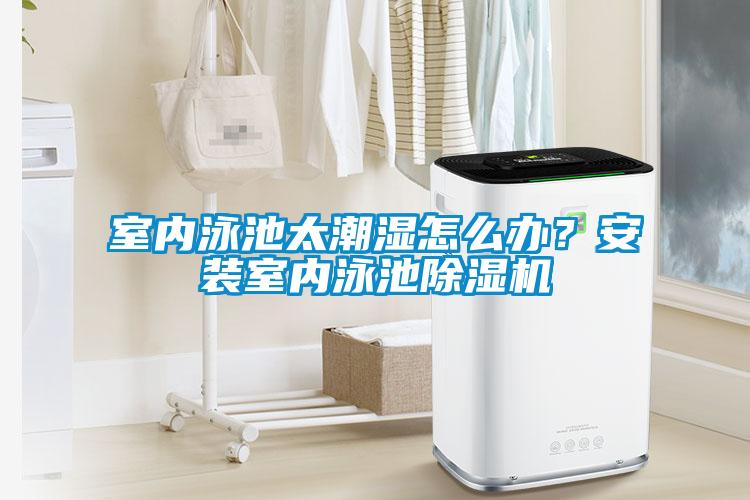室內泳池太潮濕怎么辦？安裝室內泳池除濕機
