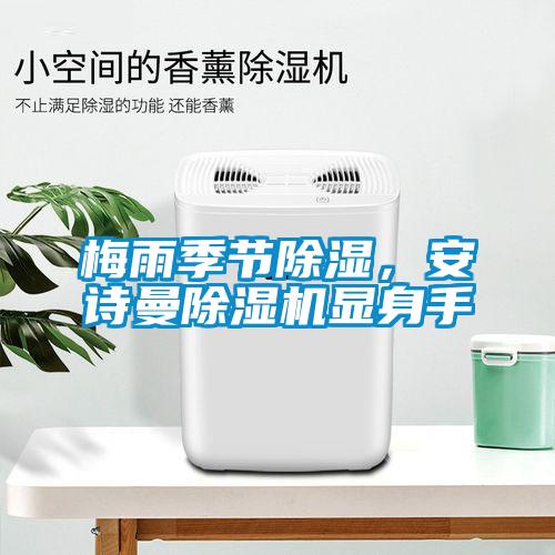 梅雨季節(jié)除濕，安詩曼除濕機顯身手