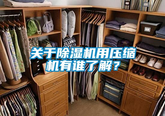 關(guān)于除濕機(jī)用壓縮機(jī)有誰(shuí)了解？