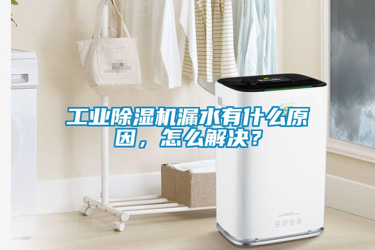 工業(yè)除濕機(jī)漏水有什么原因，怎么解決？