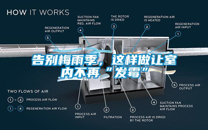 告別梅雨季，這樣做讓室內不再“發霉”