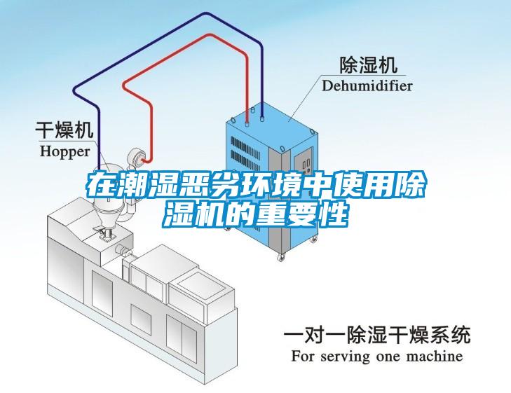 在潮濕惡劣環(huán)境中使用除濕機的重要性