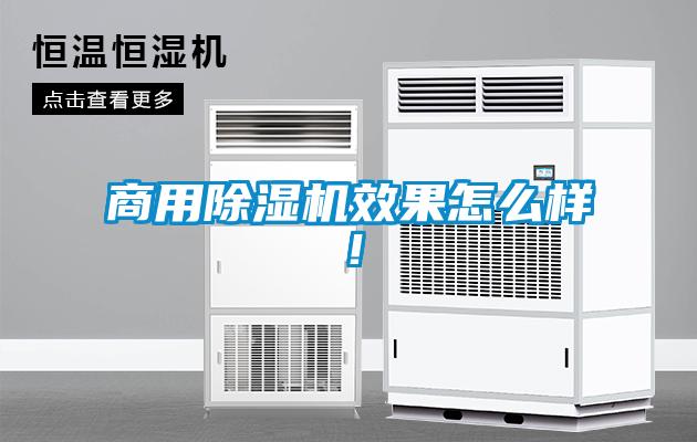 商用除濕機效果怎么樣！