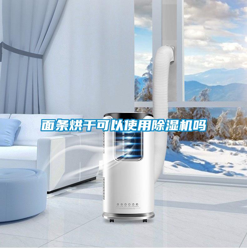 面條烘干可以使用除濕機(jī)嗎