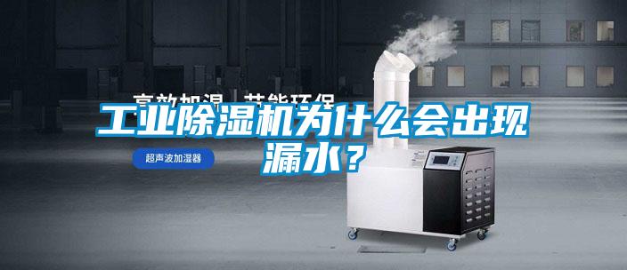 工業(yè)除濕機(jī)為什么會(huì)出現(xiàn)漏水？
